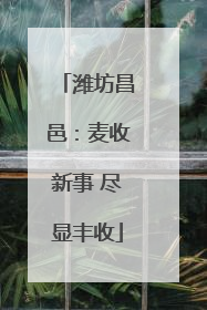 潍坊昌邑：麦收新事 尽显丰收