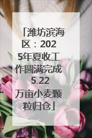 潍坊滨海区：2025年夏收工作圆满完成 5.22万亩小麦颗粒归仓