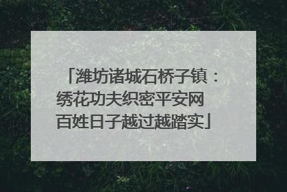 潍坊诸城石桥子镇：绣花功夫织密平安网 百姓日子越过越踏实