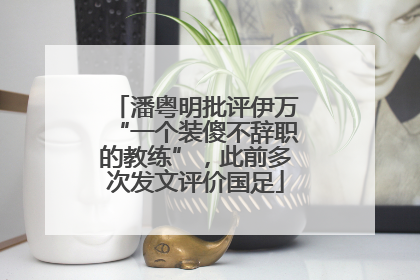 潘粤明批评伊万“一个装傻不辞职的教练”，此前多次发文评价国足