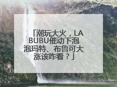 潮玩大火，LABUBU催动下泡泡玛特、布鲁可大涨该咋看？