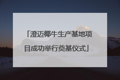 澄迈椰牛生产基地项目成功举行奠基仪式