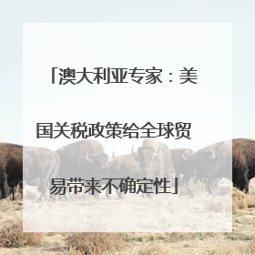 澳大利亚专家：美国关税政策给全球贸易带来不确定性