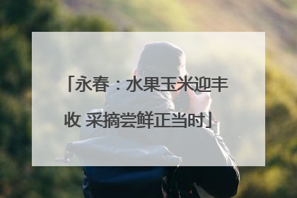 永春：水果玉米迎丰收 采摘尝鲜正当时