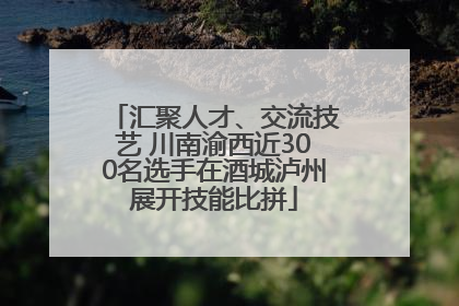 汇聚人才、交流技艺 川南渝西近300名选手在酒城泸州展开技能比拼