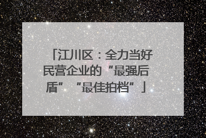 江川区：全力当好民营企业的“最强后盾”“最佳拍档”