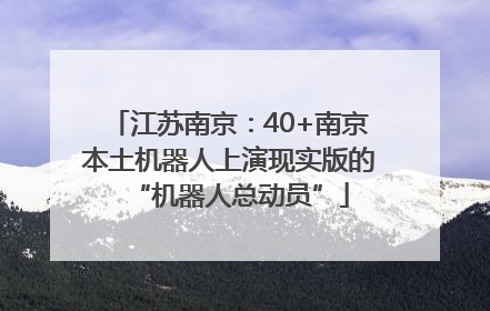 江苏南京：40+南京本土机器人上演现实版的“机器人总动员”