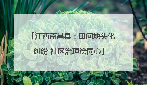 江西南昌县：田间地头化纠纷 社区治理绘同心