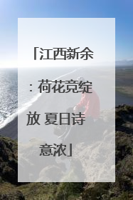 江西新余：荷花竞绽放 夏日诗意浓