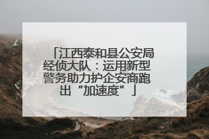 江西泰和县公安局经侦大队：运用新型警务助力护企安商跑出“加速度”