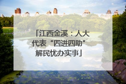 江西金溪：人大代表“四进四助”解民忧办实事