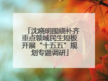 沈晓明围绕补齐重点领域民生短板开展“十五五”规划专题调研