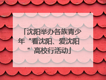 沈阳举办各族青少年“看沈阳、爱沈阳”高校行活动
