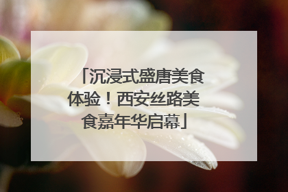 沉浸式盛唐美食体验！西安丝路美食嘉年华启幕
