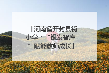 河南省开封县街小学：“银发智库”赋能教师成长