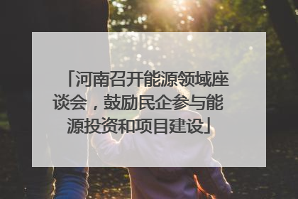河南召开能源领域座谈会，鼓励民企参与能源投资和项目建设