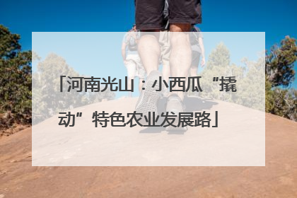 河南光山：小西瓜“撬动”特色农业发展路