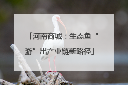 河南商城：生态鱼“游”出产业链新路径