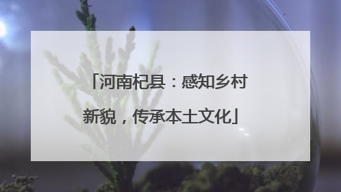 河南杞县：感知乡村新貌，传承本土文化