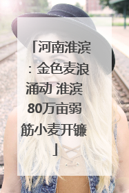 河南淮滨：金色麦浪涌动 淮滨80万亩弱筋小麦开镰