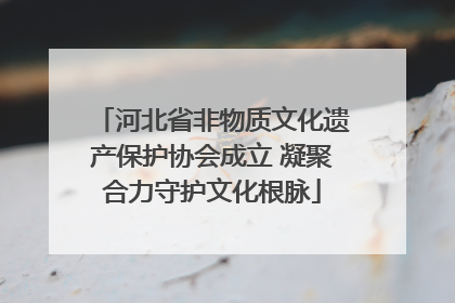 河北省非物质文化遗产保护协会成立 凝聚合力守护文化根脉