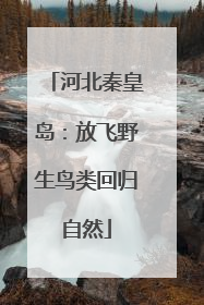 河北秦皇岛：放飞野生鸟类回归自然