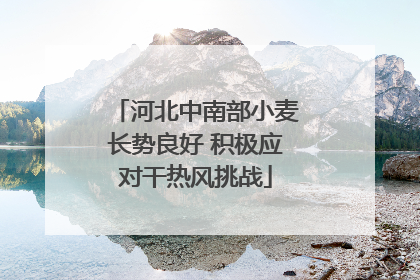 河北中南部小麦长势良好 积极应对干热风挑战