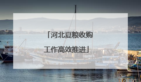 河北夏粮收购工作高效推进