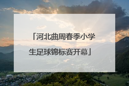 河北曲周春季小学生足球锦标赛开幕