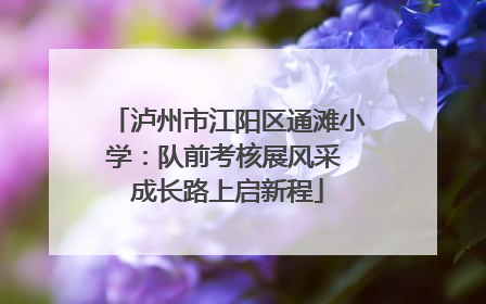 泸州市江阳区通滩小学：队前考核展风采 成长路上启新程