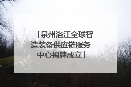 泉州洛江全球智造装备供应链服务中心揭牌成立