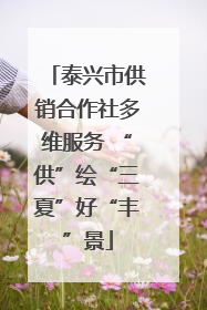 泰兴市供销合作社多维服务 “供”绘“三夏”好“丰”景