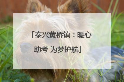 泰兴黄桥镇：暖心助考 为梦护航