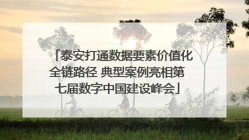 泰安打通数据要素价值化全链路径 典型案例亮相第七届数字中国建设峰会