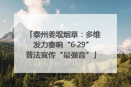 泰州姜堰烟草：多维发力奏响“6·29”普法宣传“最强音”