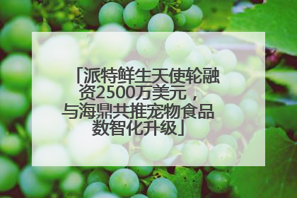 派特鲜生天使轮融资2500万美元，与海鼎共推宠物食品数智化升级
