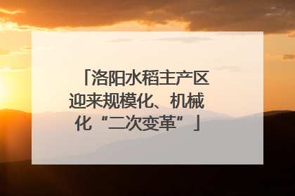洛阳水稻主产区迎来规模化、机械化“二次变革”