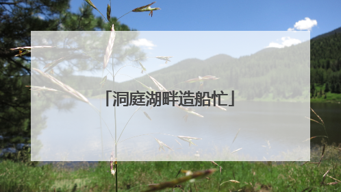 洞庭湖畔造船忙