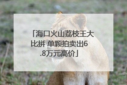 海口火山荔枝王大比拼 单颗拍卖出6.8万元高价