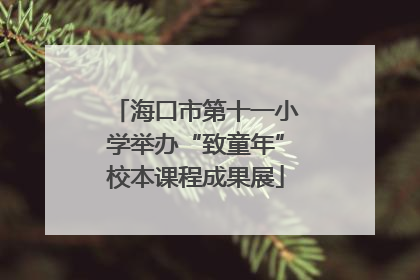 海口市第十一小学举办“致童年”校本课程成果展