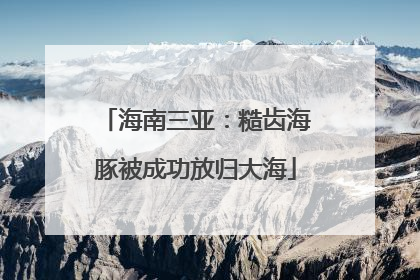 海南三亚：糙齿海豚被成功放归大海
