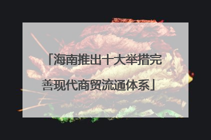 海南推出十大举措完善现代商贸流通体系