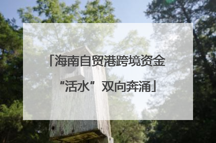海南自贸港跨境资金“活水”双向奔涌