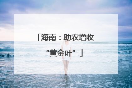 海南：助农增收 “黄金叶”
