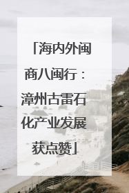 海内外闽商八闽行：漳州古雷石化产业发展获点赞