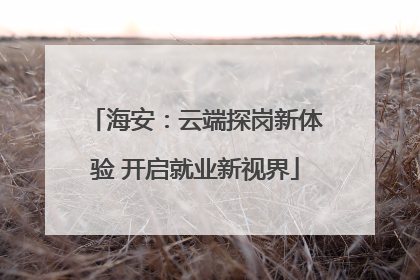 海安：云端探岗新体验 开启就业新视界