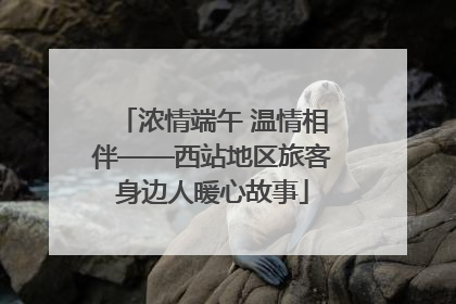 浓情端午 温情相伴——西站地区旅客身边人暖心故事