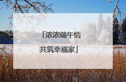 浓浓端午情 共筑幸福家