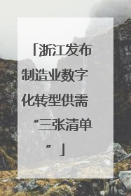 浙江发布制造业数字化转型供需“三张清单”