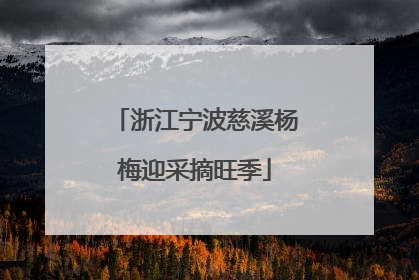 浙江宁波慈溪杨梅迎采摘旺季